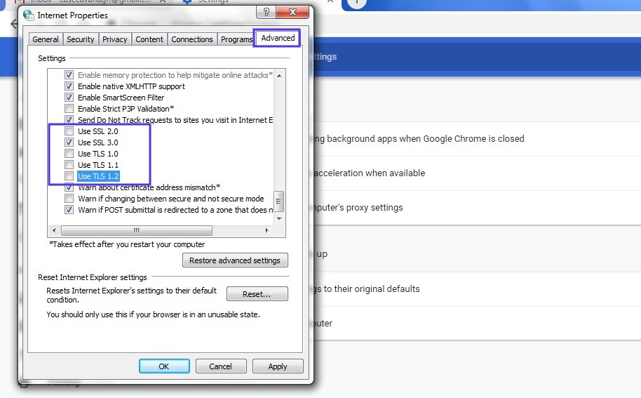 windows 中的 internet 属性高级设置