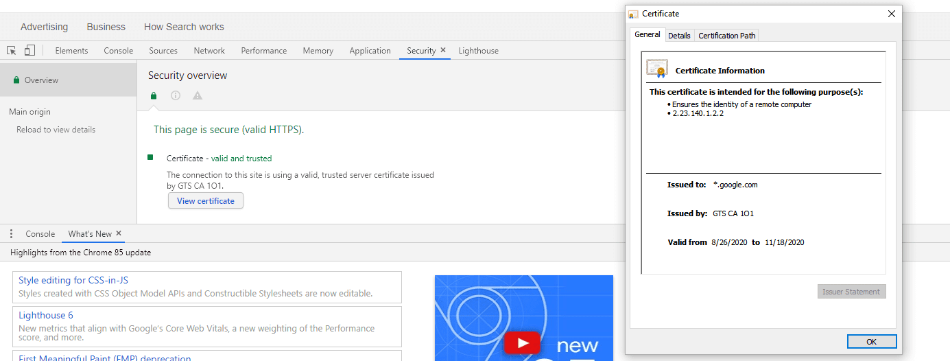 google chrome 中的 ssl 证书详细信息