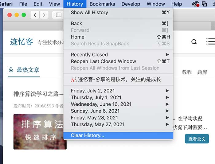 清除 safari 中的历史记录