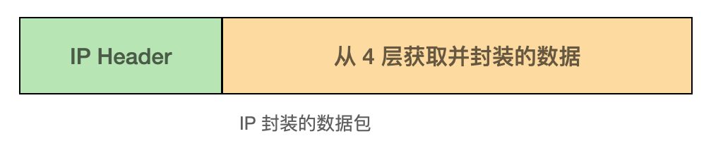 ip 封装的数据包整体结构