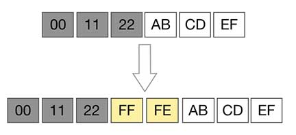 ipv6-eui64-interface-id