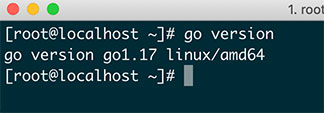 go-linux-验证是否安装成功