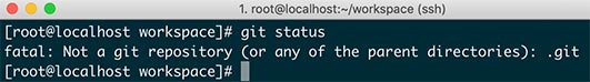 git-仓库外进行操作的错误信息