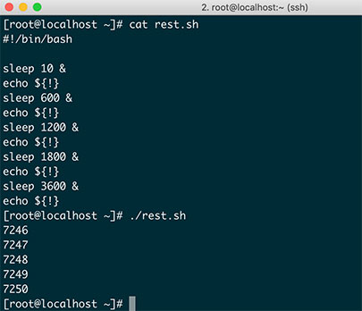 bash 多线程编程脚本查询后台进程