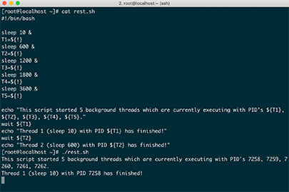 bash 多线程编程 wait 命令