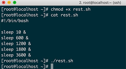 bash 多线程编程后台进程