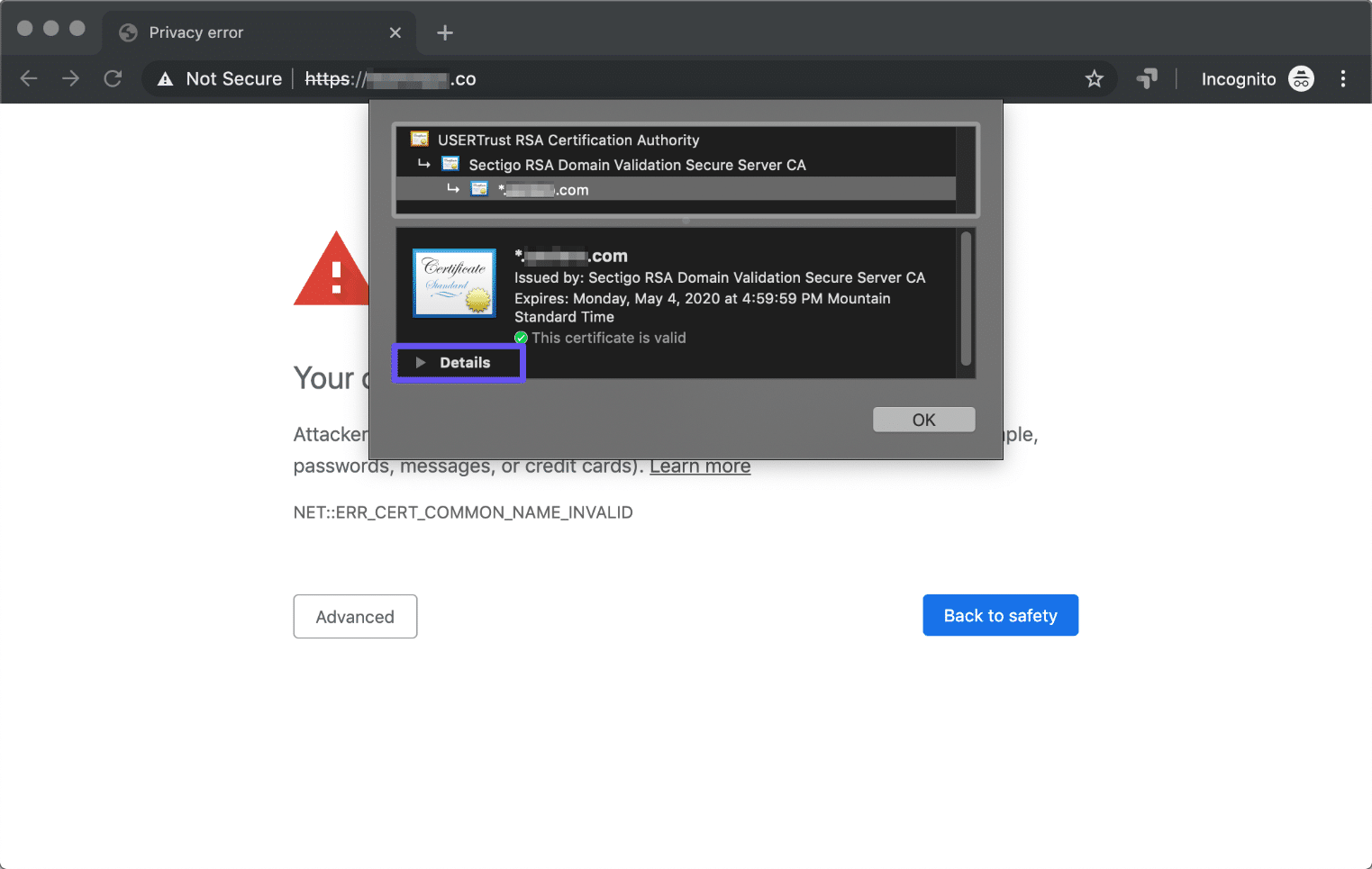 google chrome 中证书检查器窗口的“详细信息”选项卡
