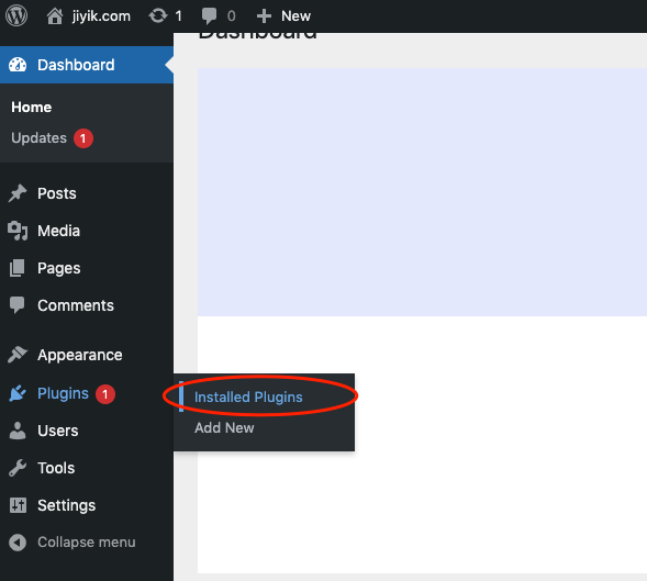 wordpress 插件设置