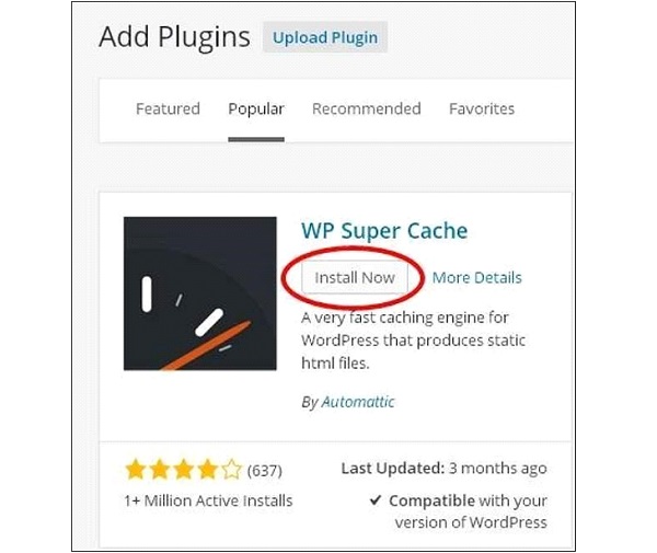 wordpress plugin settings