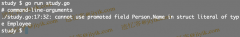 如何修复 golang 中的 cannot use promoted field in struct literal of type