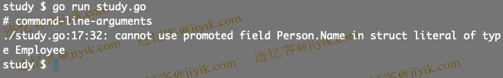 修复 golang 中的 cannot use promoted field in struct literal of type