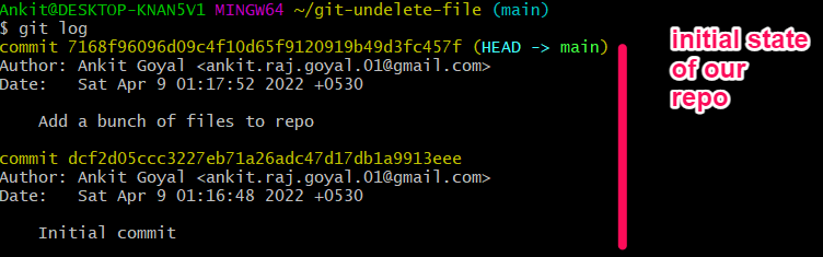 initial repo commits