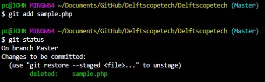 run git status - index check after git add
