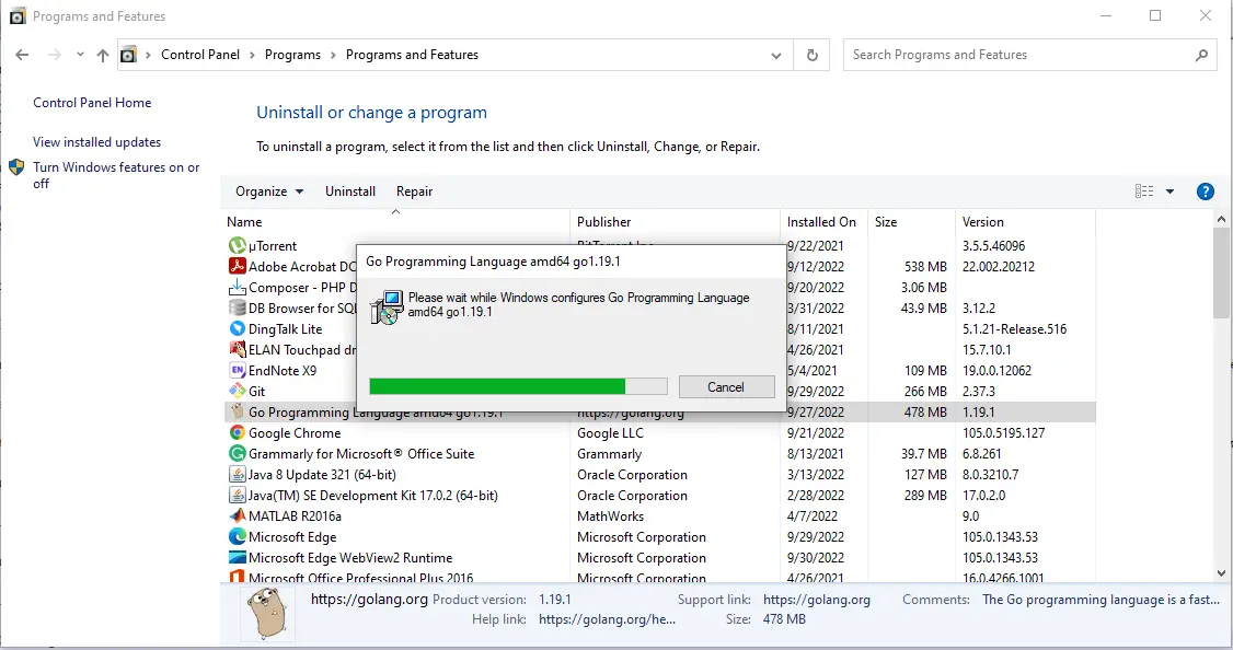 uninstall golang